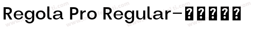 Regola Pro Regular字体转换